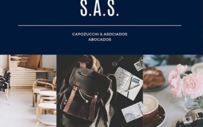 SOCIEDADES DE ACCIONES SIMPLIFICADAS (S.A.S.)